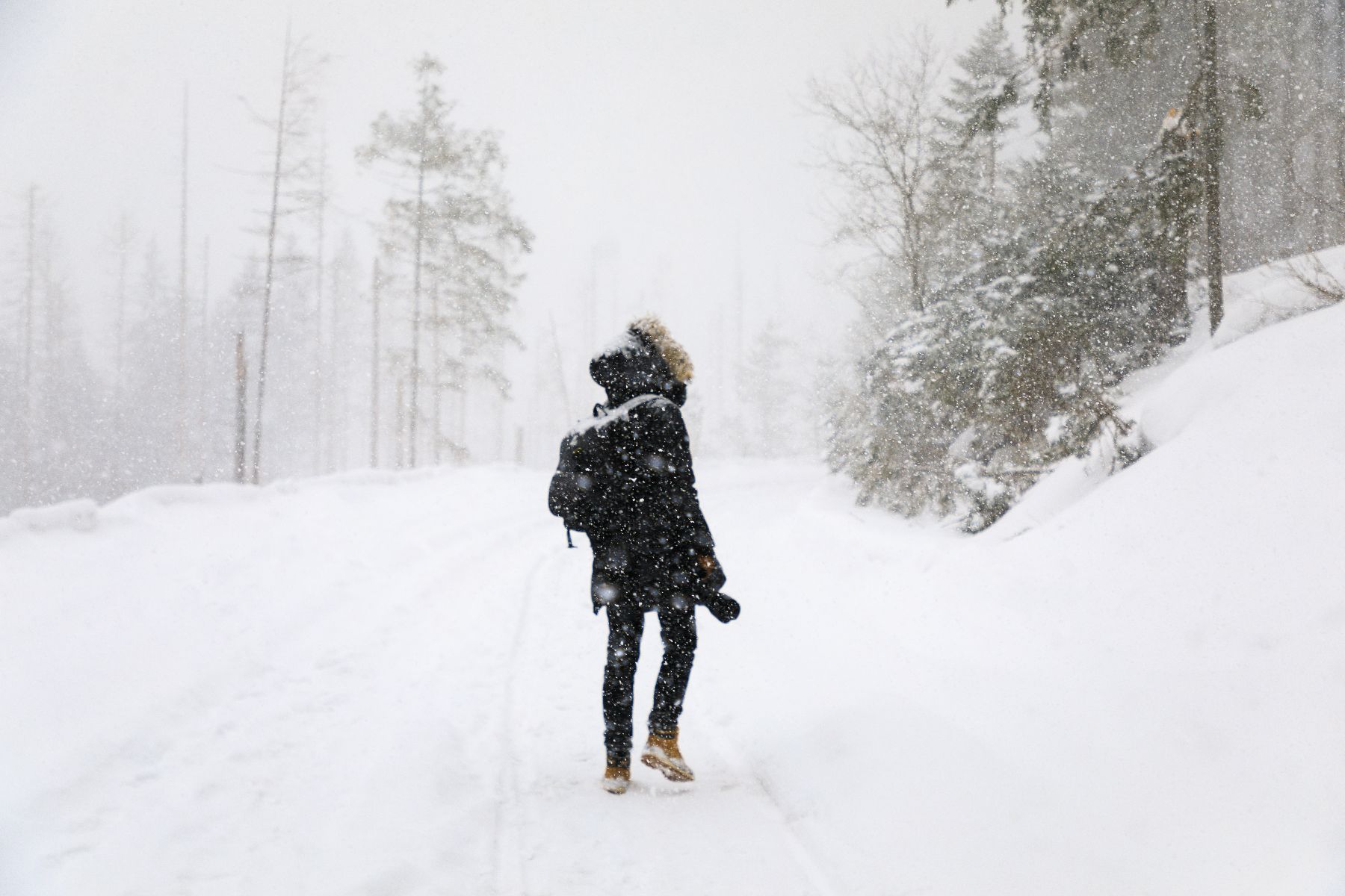 Woman hiking in misty snow