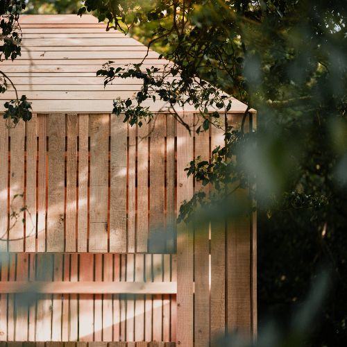 A glamour shot of a fence with a branch from a tree coming into frame
